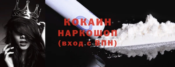 дмт Абаза