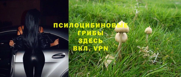 дмт Абинск