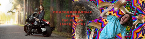 дмт Абинск