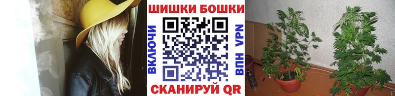 где продают Покачи Канабис VHQ